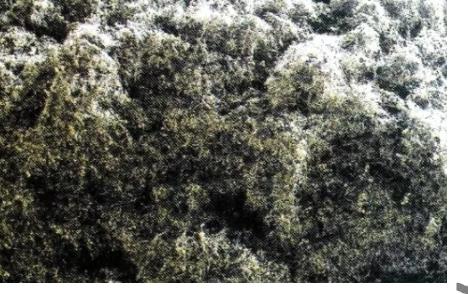 �����������(������+������) ��� ����� �����������(~15 ��)