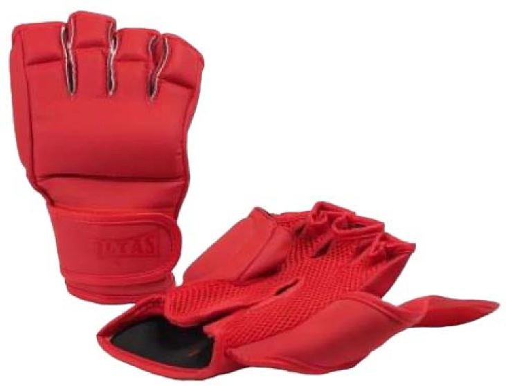 MMA �������� ��� ������� ����������� ������ ������,SOLTAS ( ����� ),DX XS