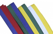 ���� ��� ����������� ����������� 2,6 ������-�������