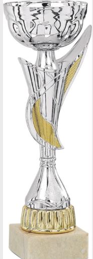 ����� 7017D 31 ��