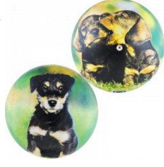 ��� ������� 23 ��