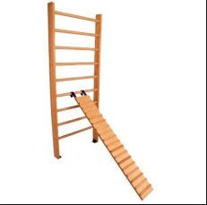 ����� ��������� ���������