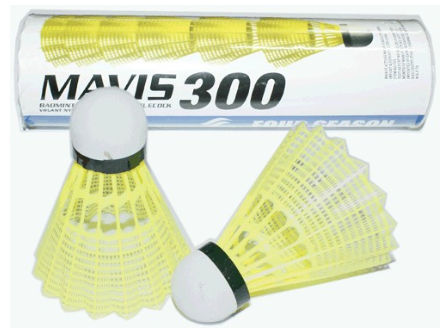 ������ �������, ���� 6 ��. �-300