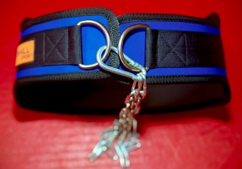 ���� �/�����.��� ������. ���������� � �����