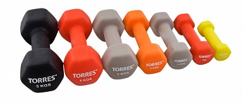 ������� ����������� TORRES 4��