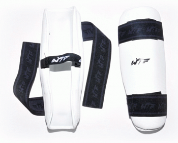 ������ ������ ZTT L