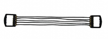 �������� �������� �������� 5 �������